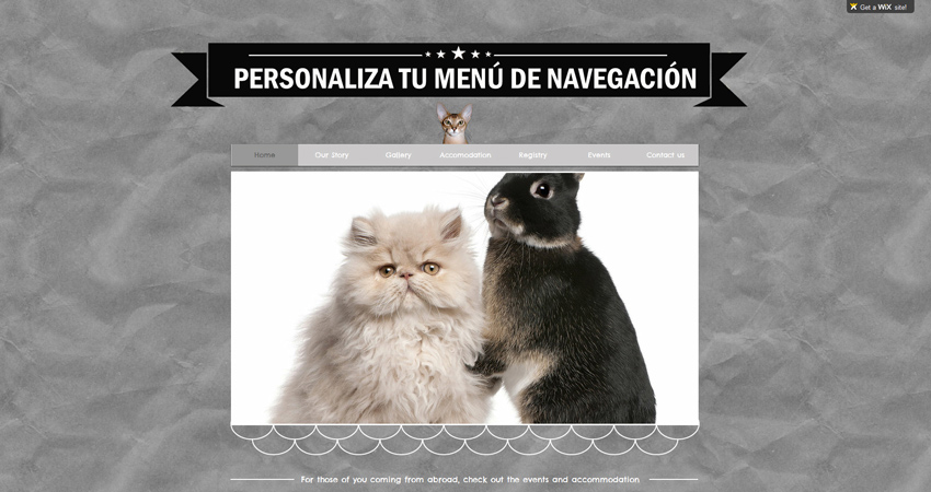 Aprovecha al máximo el editor Wix Sitio Web con Gatos