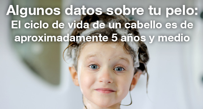 30 Ideas para tu Próximo Boletín de Noticias 30 Ideas para tu Próximo Boletín de Noticias